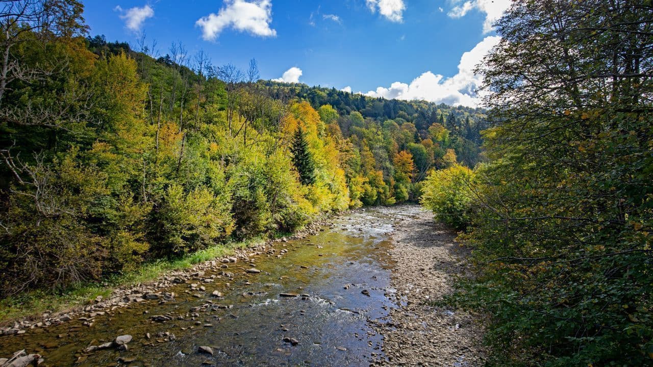 Bieszczady 2026 – Tu kończy się stres, a zaczyna przygoda gdzie Wi-Fi słabe, ale humory mocne !!!
